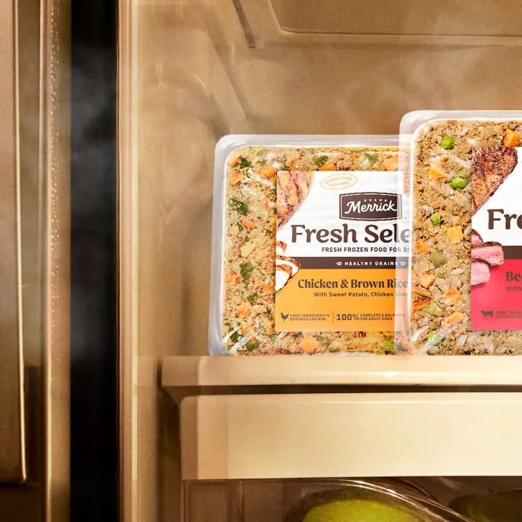 fresh selects packages on refrigerator shelf