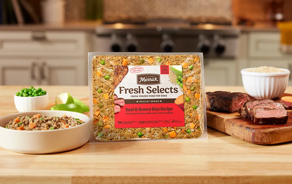 Fresh Selects Beef and Brown Rice Recipe on counter with ingredients