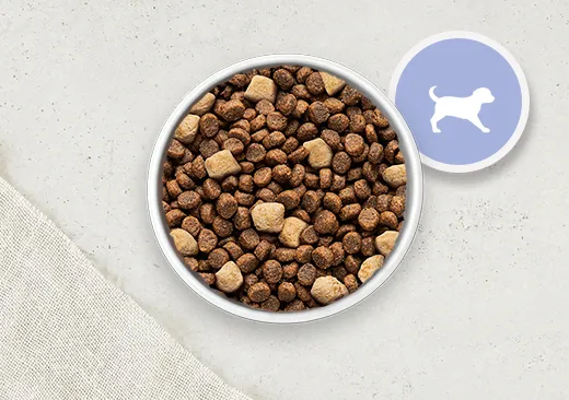 puppy food