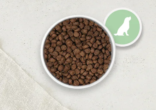 Merrick Small Breed Senior