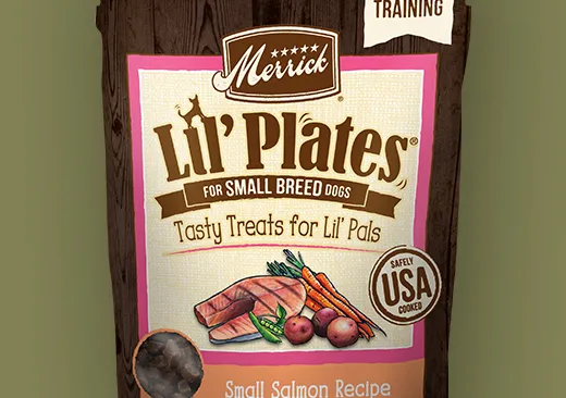 Lil’ Plates