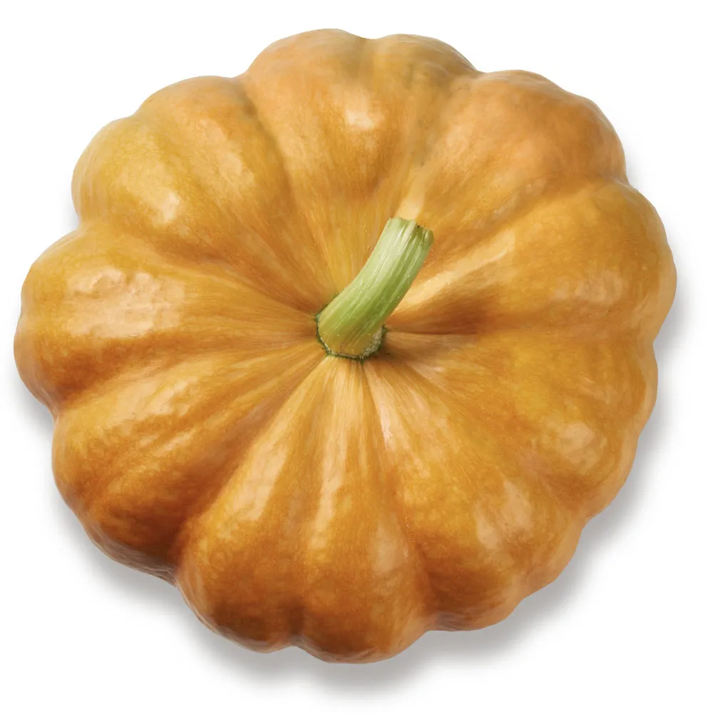 Pumpkin